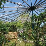 Butterfly World