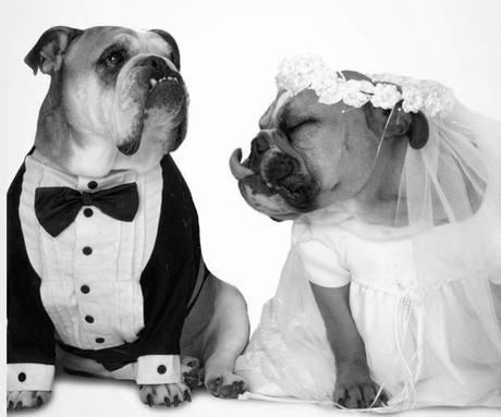 The Wedding Website of Simone Thomas and Simeon Burnett