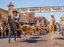 Fort Worth Stockyards