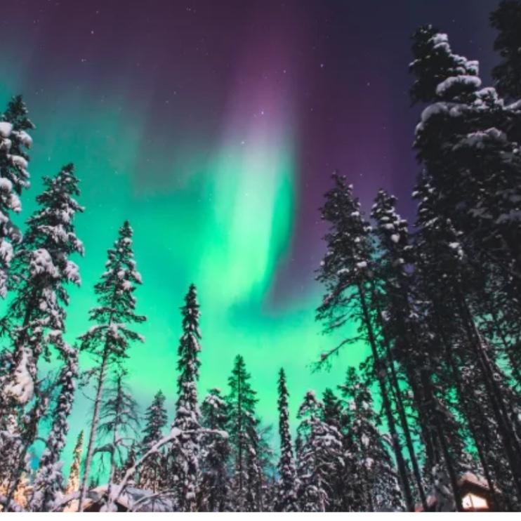 Honeymoon Alaska Fund!