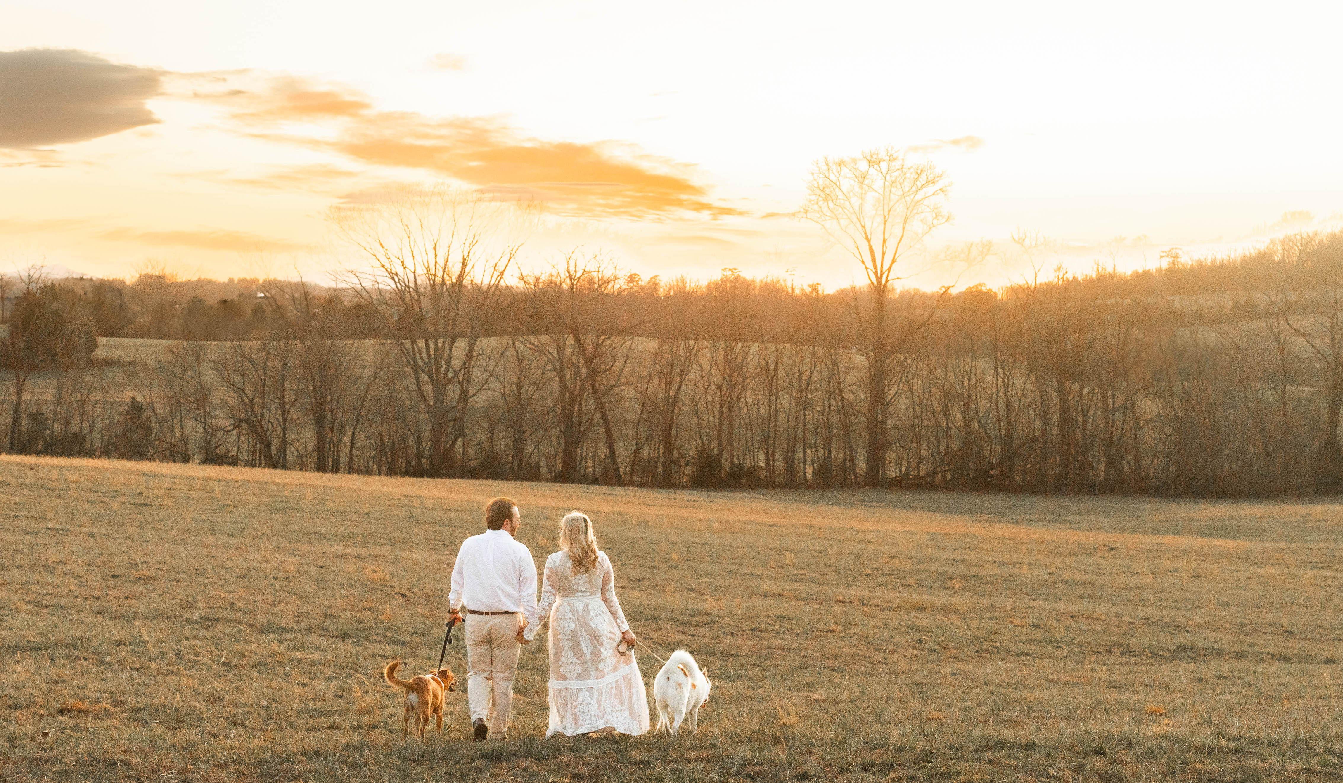 Hero Slideshow Image 5