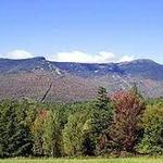 Mount Mansfield State Forest