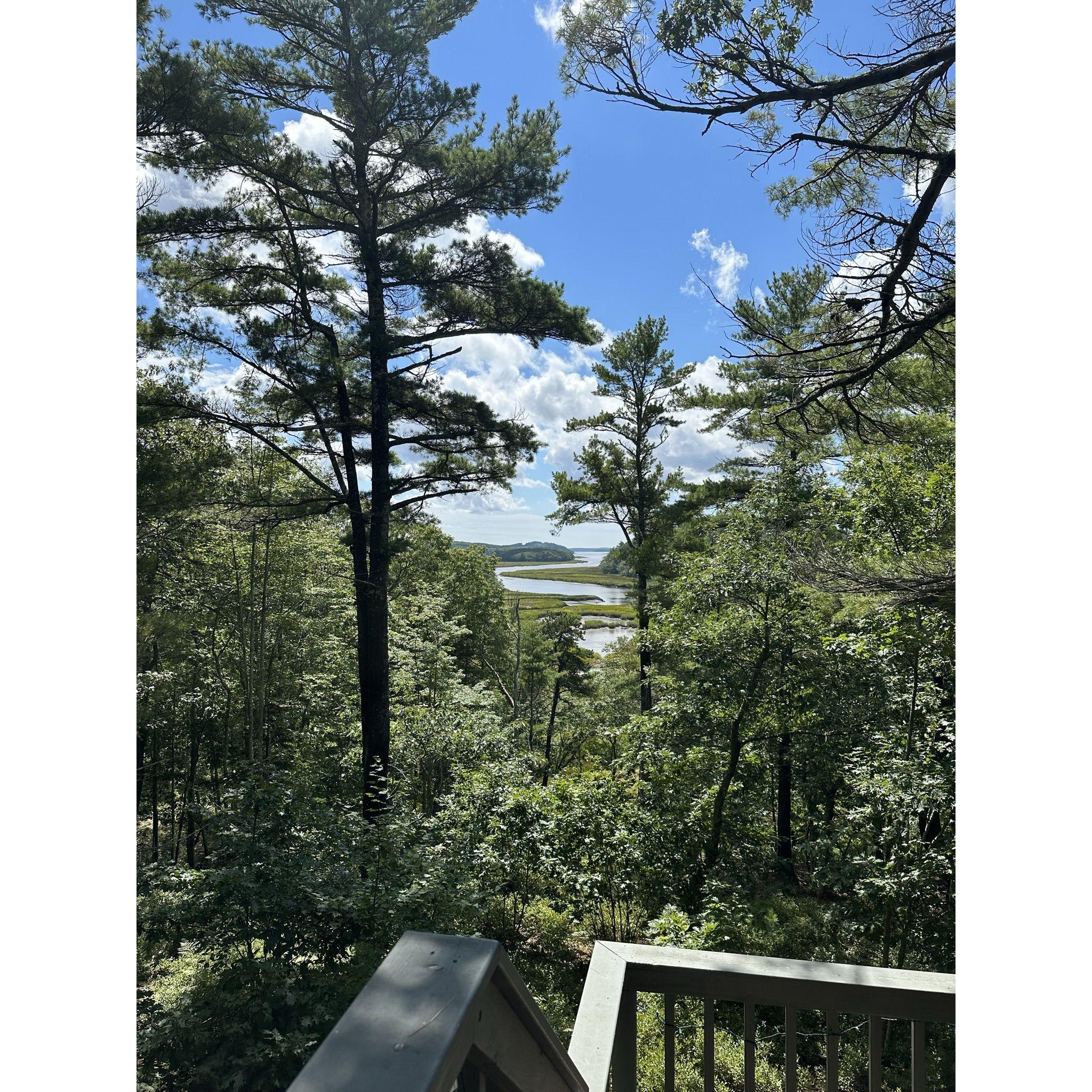 Treehouse getaway August 2023!