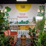 Sun and Soil Plant Parlor