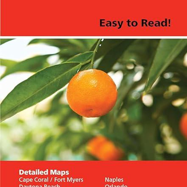 Rand McNally Easy to Read: Florida State Map