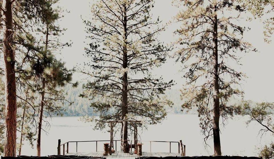 The Wedding Website of Julia Danahy and Grant DeBeaumont