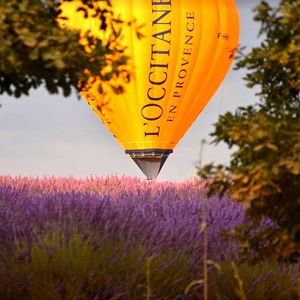 Hot Air Balloon