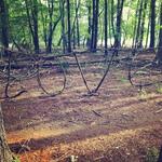 Hiking at Loch Raven Resovoir