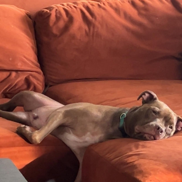 Beaux’s Training Fund