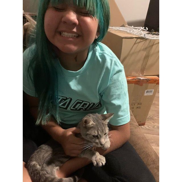 The first addition to the family: Lily (2020)