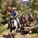 Jackson's Stables Inc
