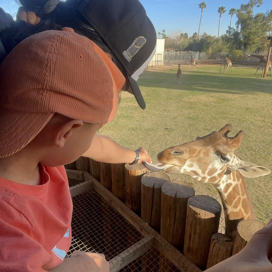 Anthony and Soarin feeding the giraffe 🦒.