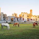 Cumberland Island