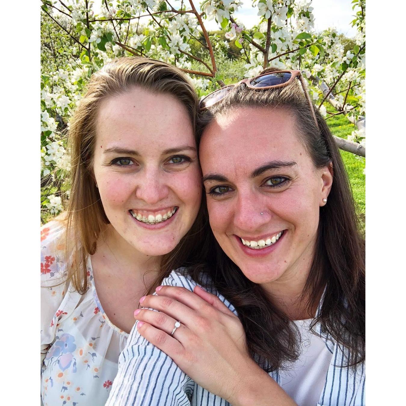 Cat's proposal at Nashoba Valley Winery