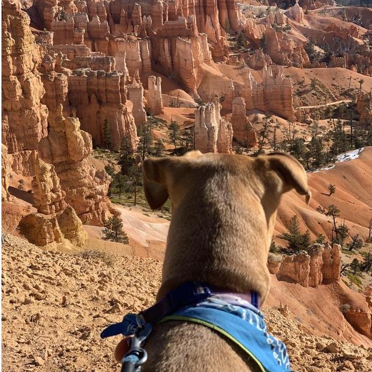 Bryce Canyon National Park