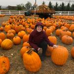 The Maize at The Pumpkin Patch