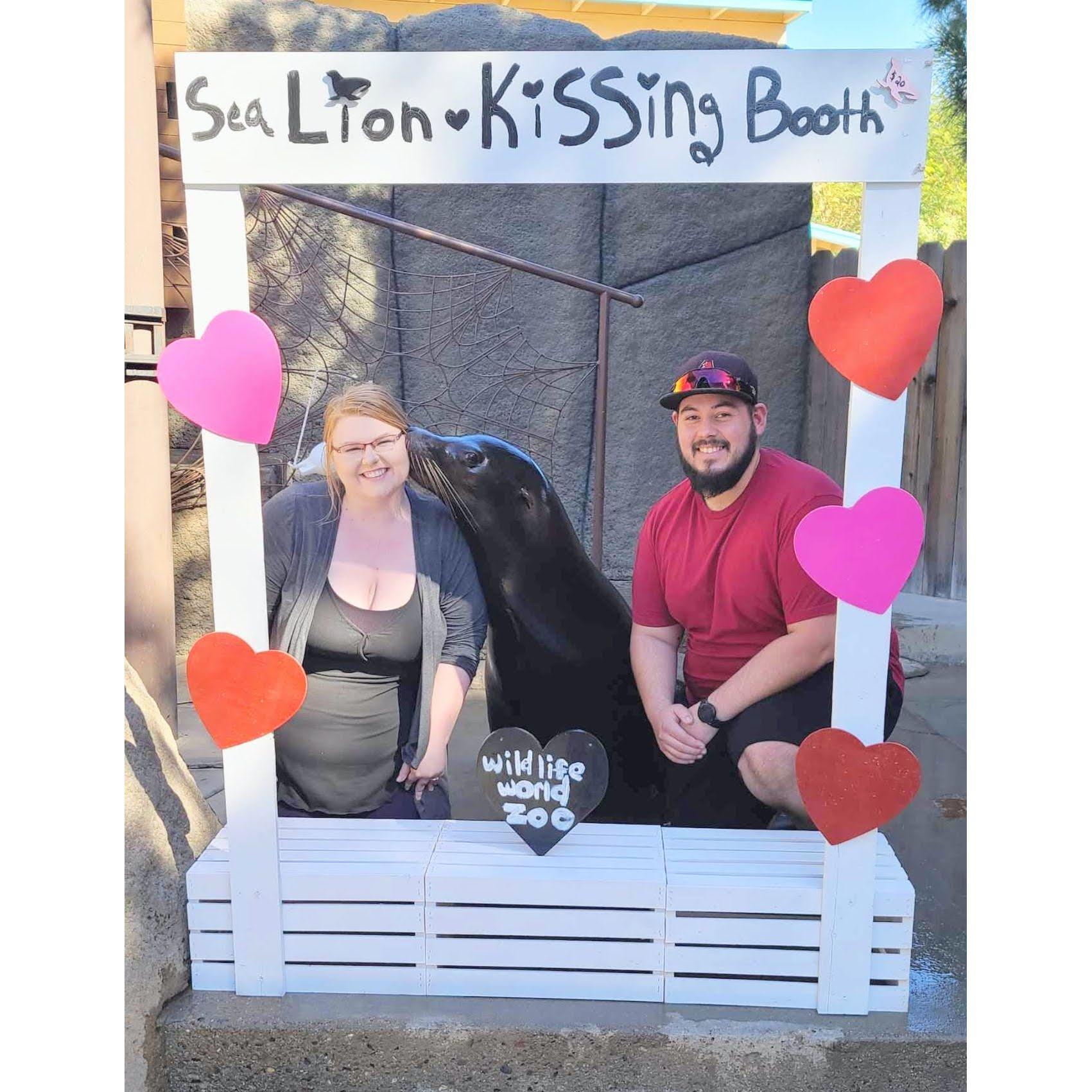 Getting Kissed by a Seal | 2022