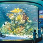 Loveland Living Planet Aquarium
