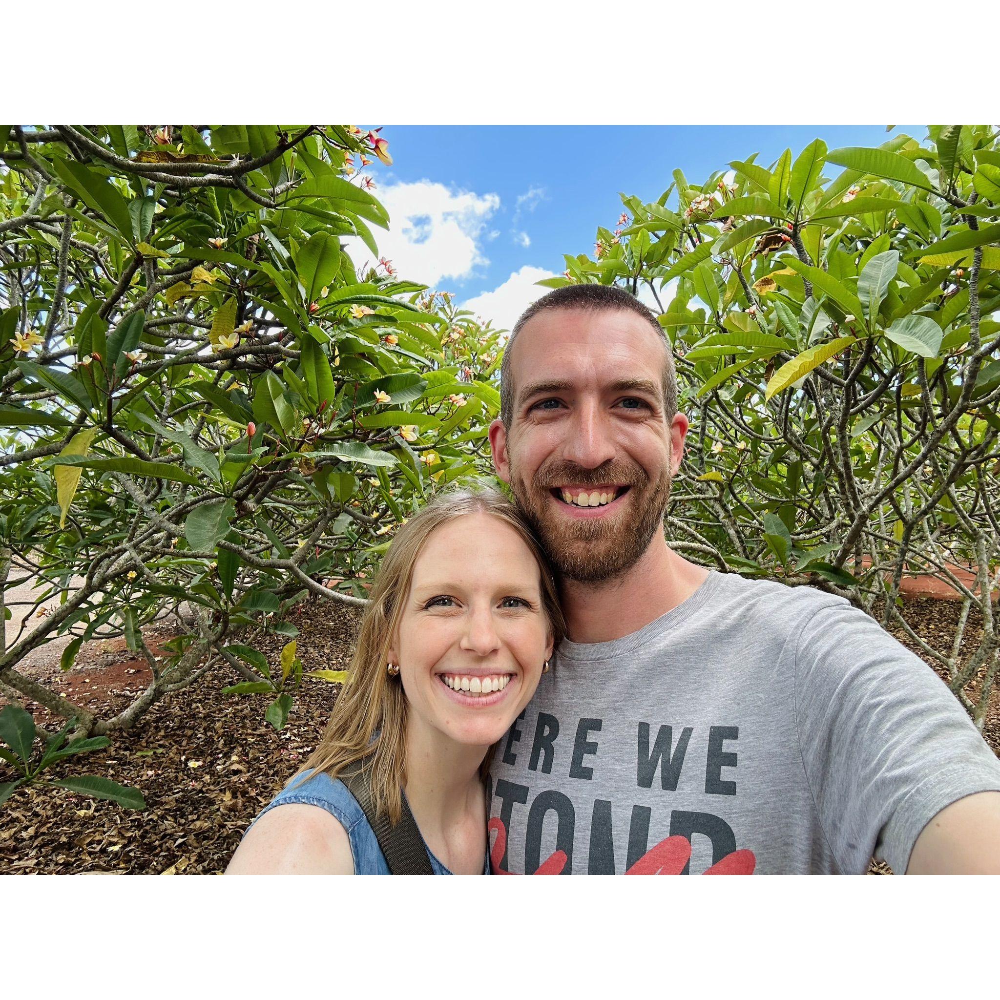 Little Plumeria Farm