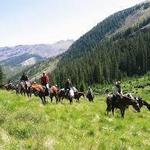 Horseback riding at Mountain View Ranch