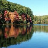 Goose Pond