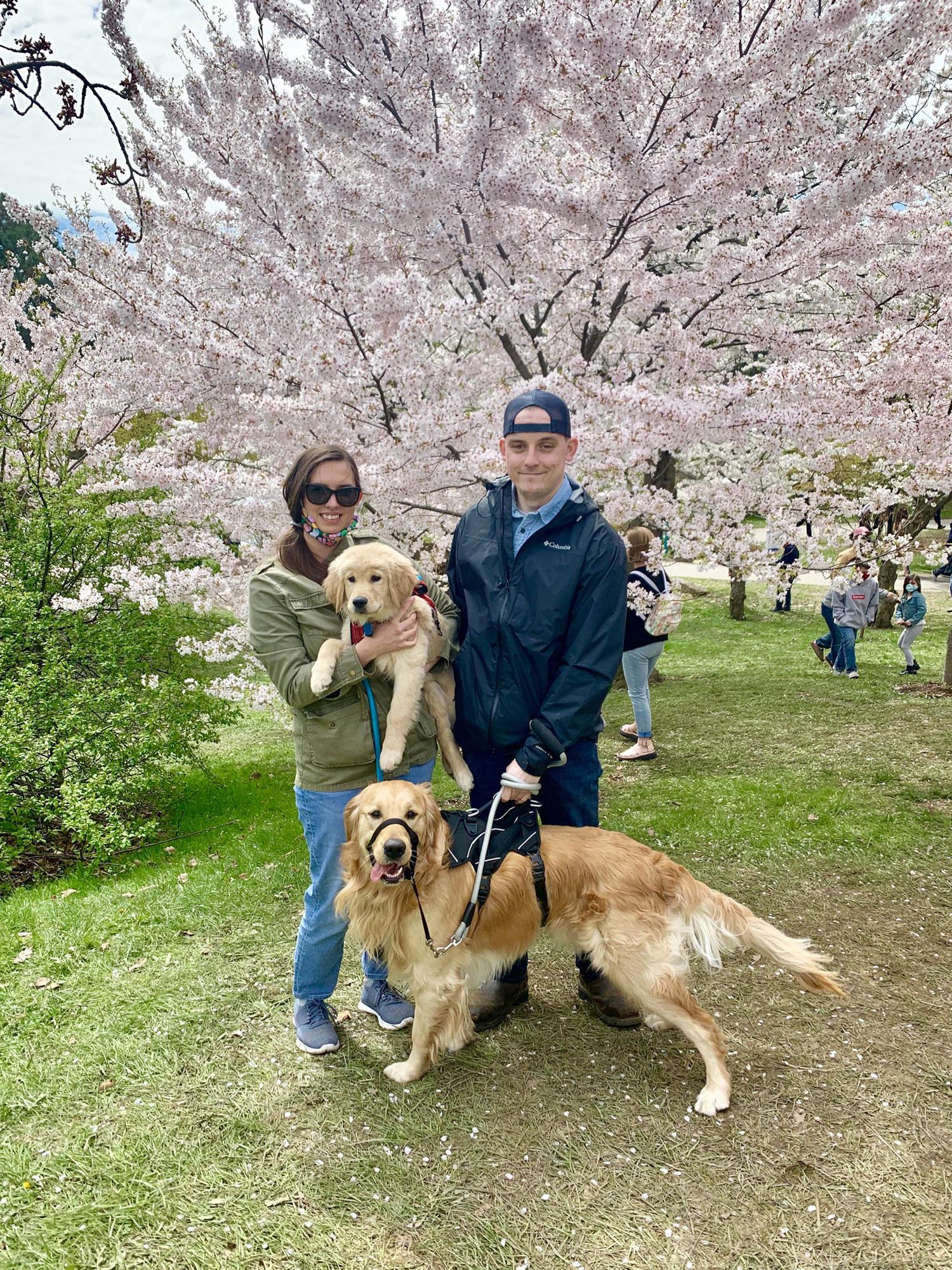 Took Winston and Blu to see the Japanese Cherry Blossoms