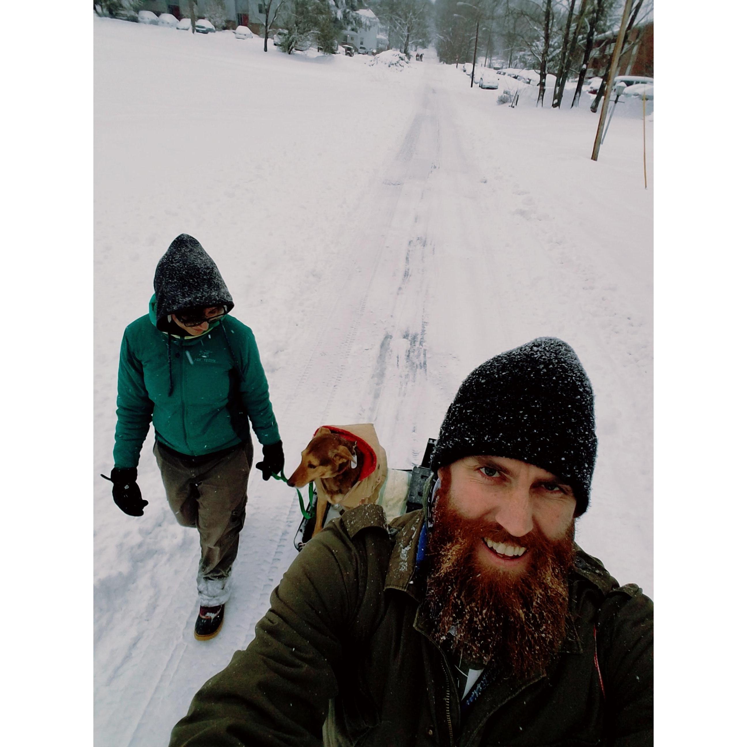 Nala "enjoying" the snow / Nala "disfrutando" de la nieve
