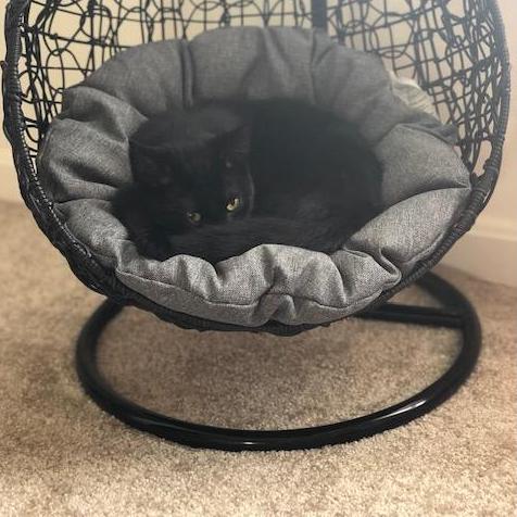 Our little boy Lieutenant who is really one of a kind