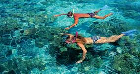 Ashley and Bill's Snorkel Cruise