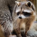 Alexandria Zoological Park