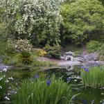 University of California Botanical Garden
