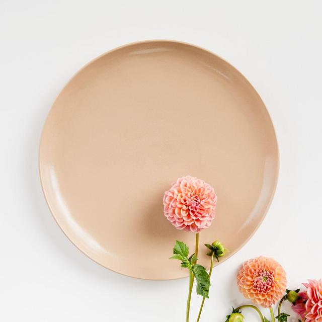 Visto Blush Stoneware Dinner Plate