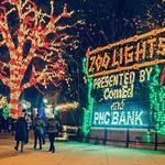 Lincoln Park Zoo Lights