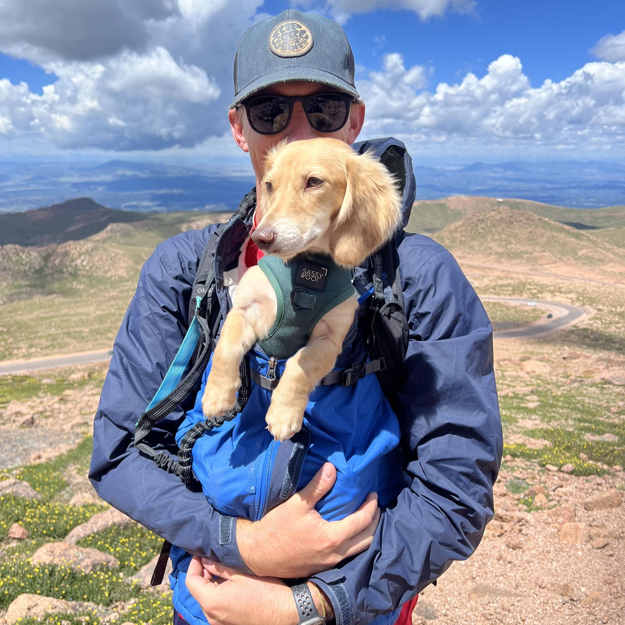 When Noodle knew he found his new stepdad.