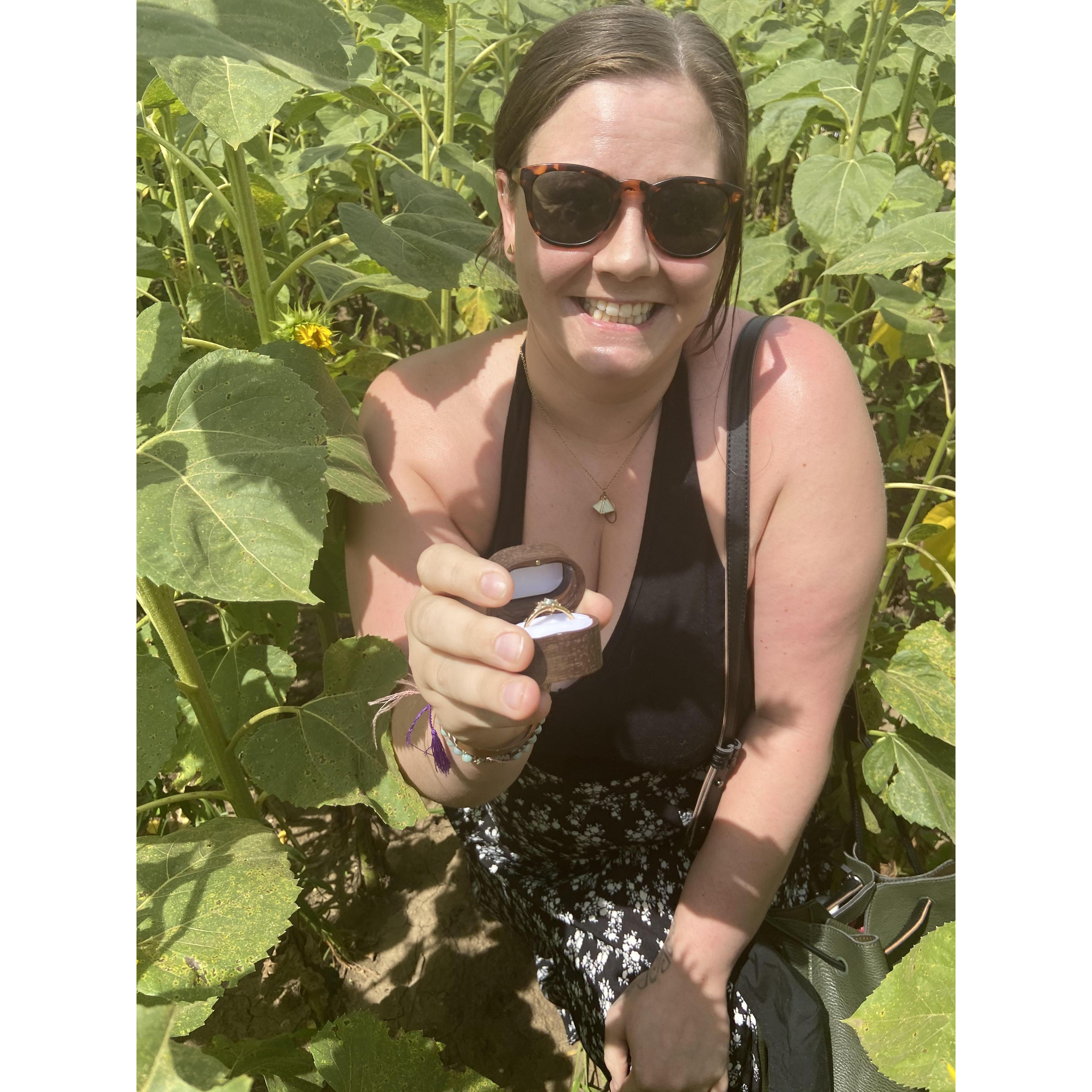 AK proposed to Allison on July 25, 2020 at Von Bergen's Sunflower Maze in Hebron, Illinois