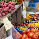Stowe Farmers Market