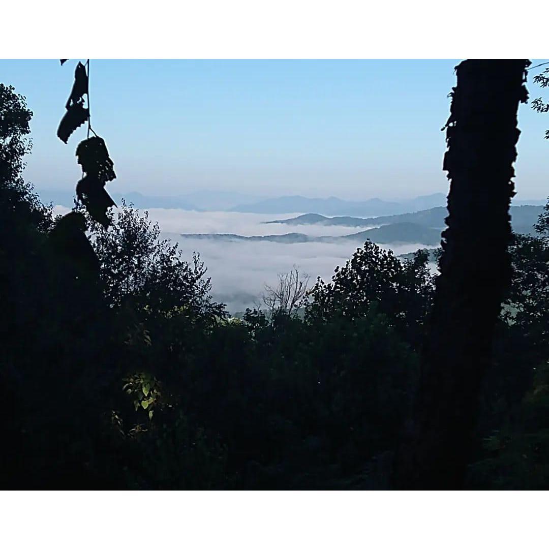 Asheville - Sep 2023