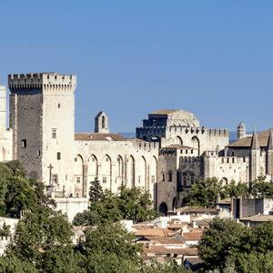 Guided tour of the Palais des Papes