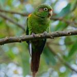 Reserva Natural El Dorado