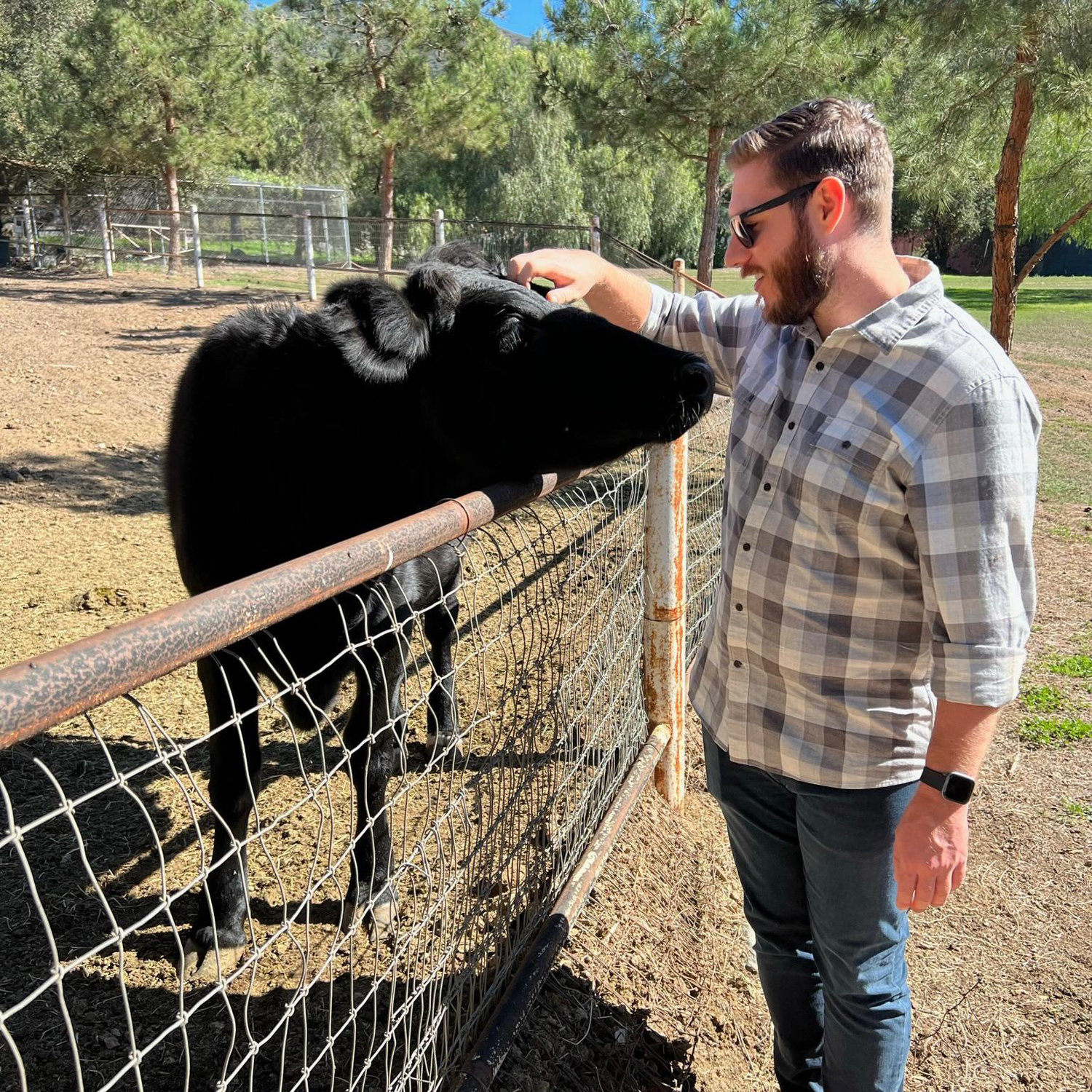 Making friends.