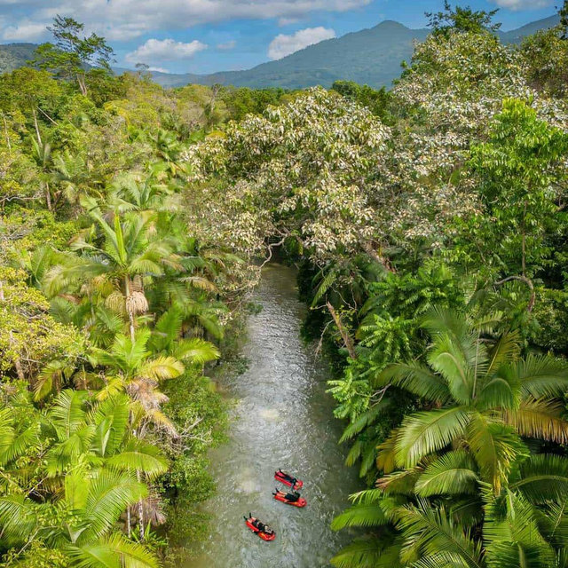 Daintree River Drift Experience