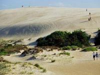 Jockey’s Ridge State Park