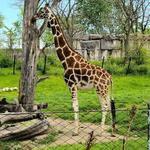 Indianapolis Zoo