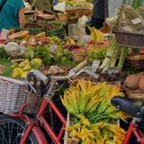 Boise Farmers Market