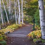 Viles Arboretum