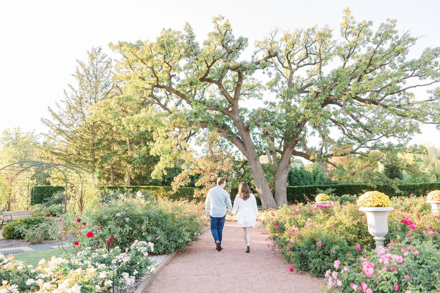 The Wedding Website of Rachael McDonough and Sam Mazzocco