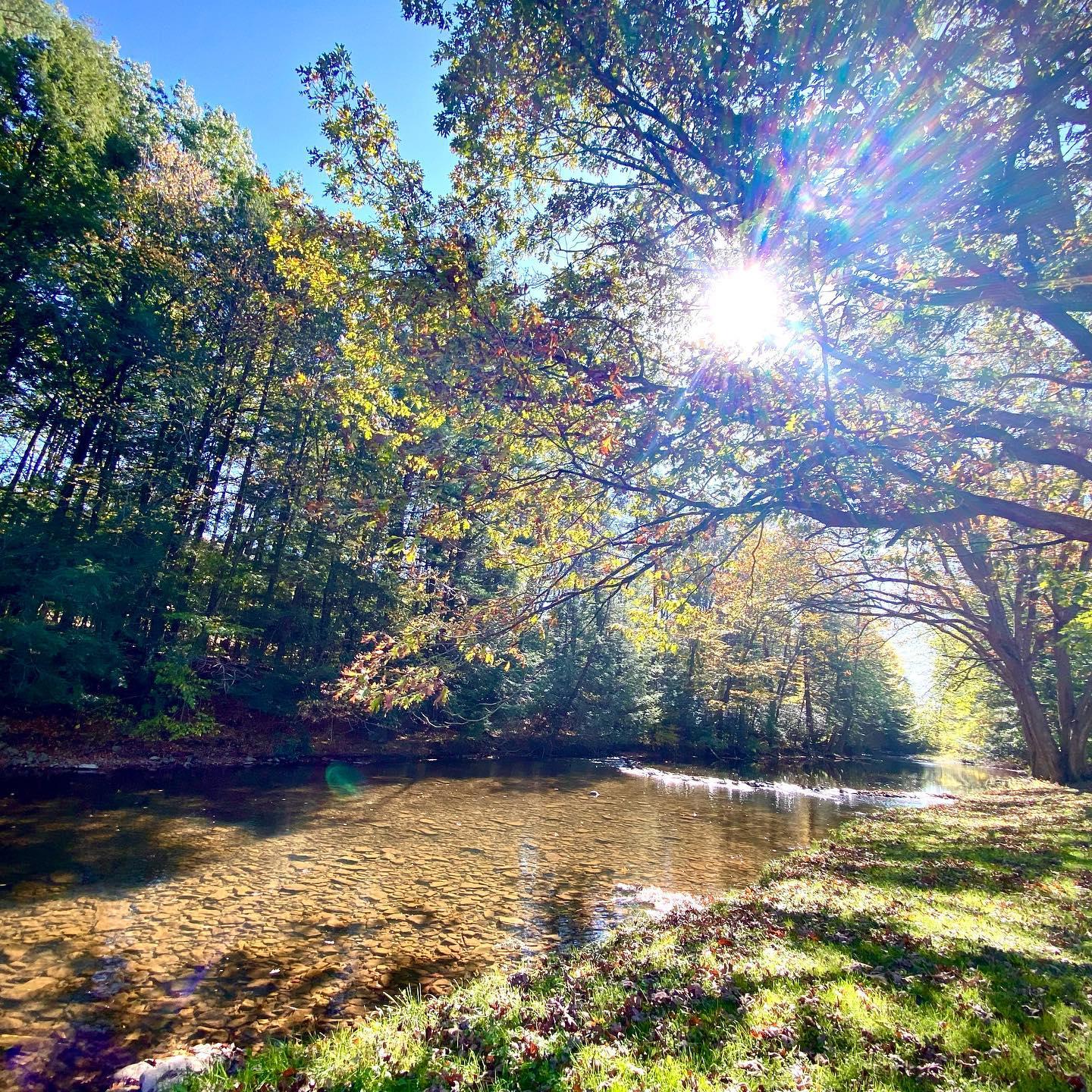 The Wedding Website of Rachel Koons and Erwin Bansil