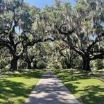 BROOKGREEN GARDENS