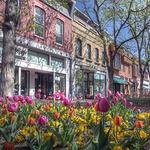 Pearl Street Mall