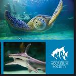 North Carolina Aquarium at Fort Fisher